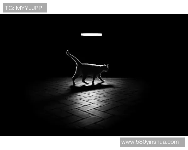 探索光影的艺术:摄影技巧、创意表达与视觉故事的完美融合